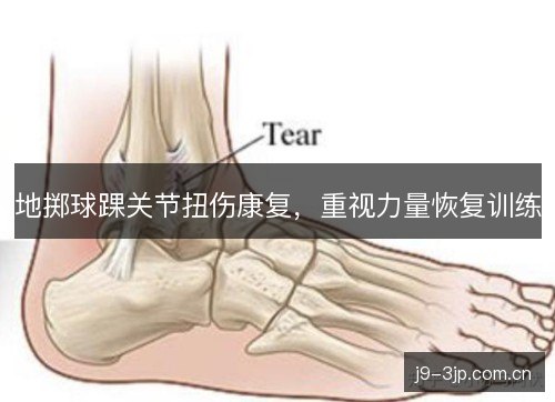 地掷球踝关节扭伤康复,重视力量恢复训练 地掷球踝关节扭伤康复,重视力量恢复训练