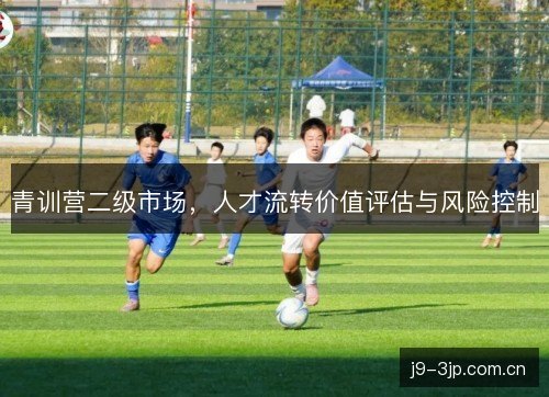 青训营二级市场,人才流转价值评估与风险控制 青训营二级市场,人才流转价值评估与风险控制